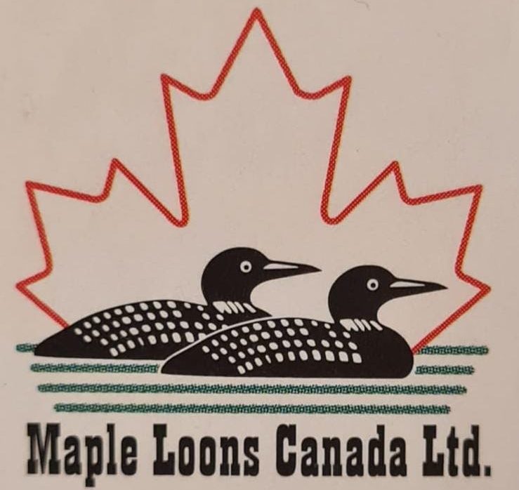 Maple Loons